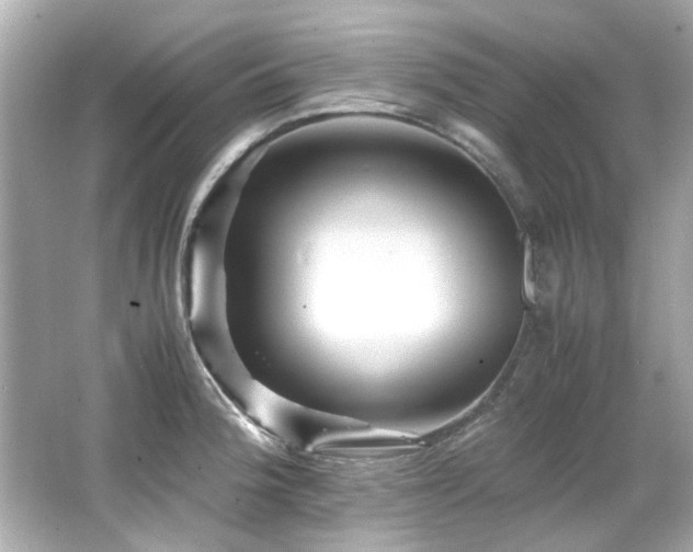 X0000066521188200603171210