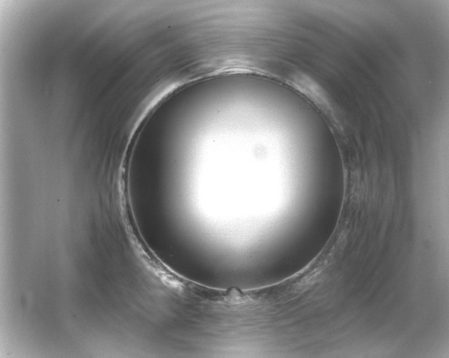 X0000066521190200603171210