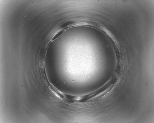 X0000066521193200603171210