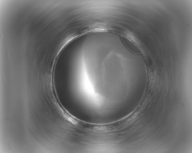 X0000066521194200603171210