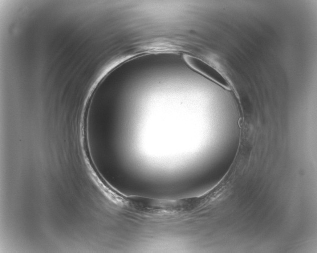 X0000066521195200603171210