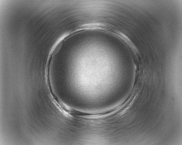 X0000066521196200603171210