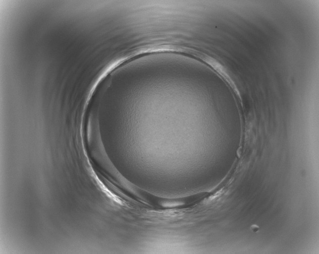 X0000066521197200603171210