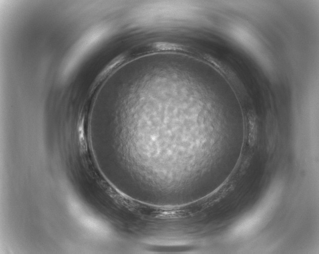 X0000066521198200603171210