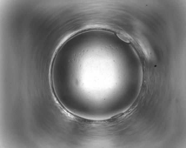 X0000066521199200603171210