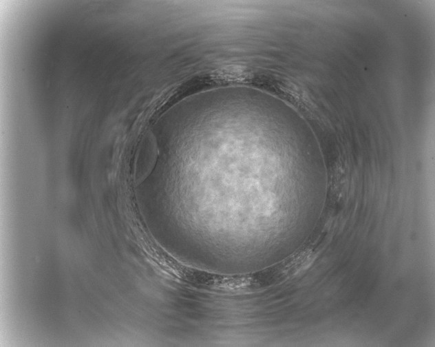 X0000066521201200603171209