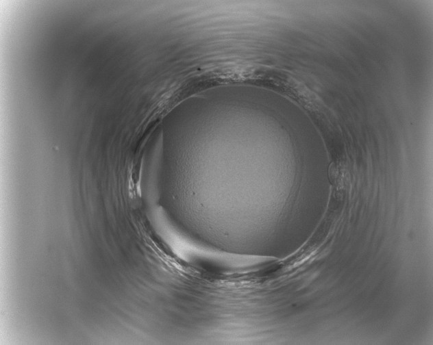 X0000066521202200603171209