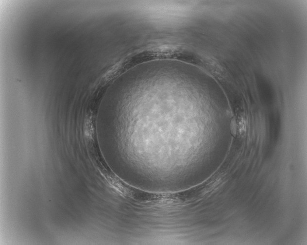 X0000066521204200603171209