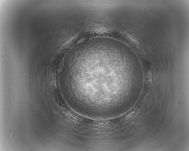 X0000066521205200603171209