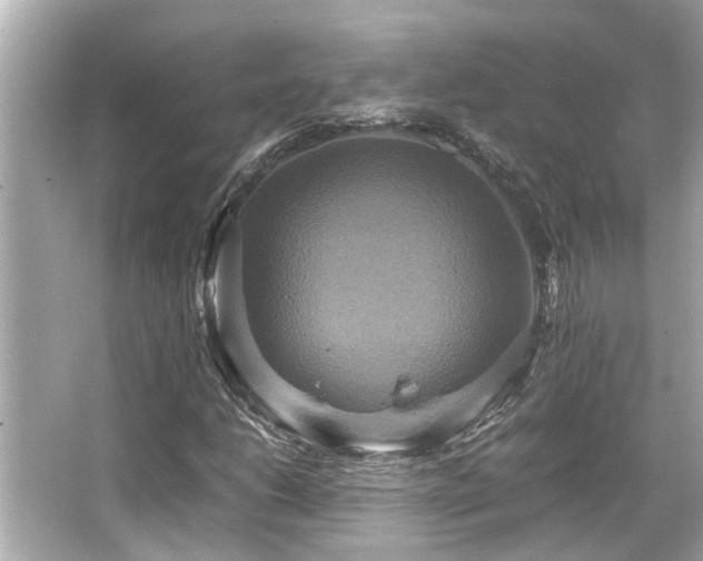 X0000066521206200603171209