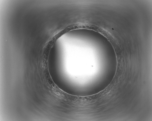 X0000066521207200603171209