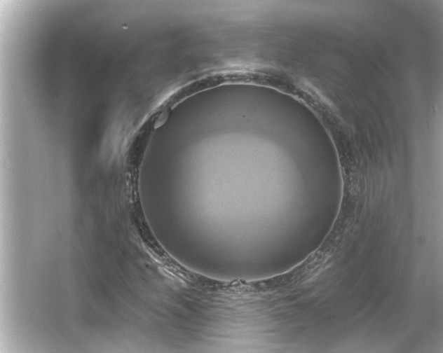 X0000066521208200603171209