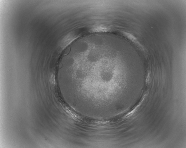 X0000066521209200603171209