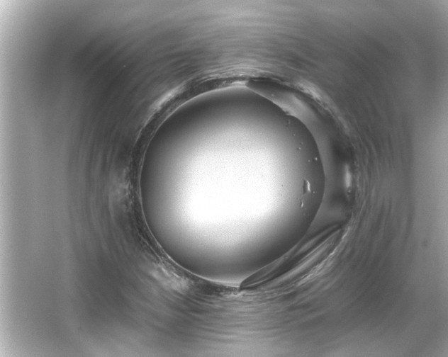 X0000066521210200603171209