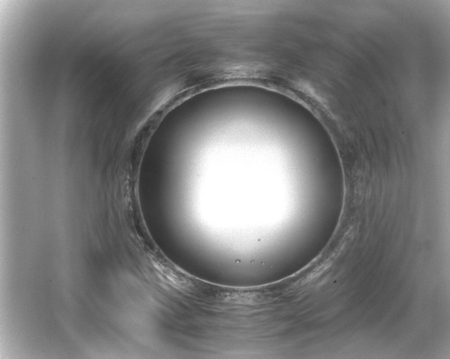 X0000066521211200603171209