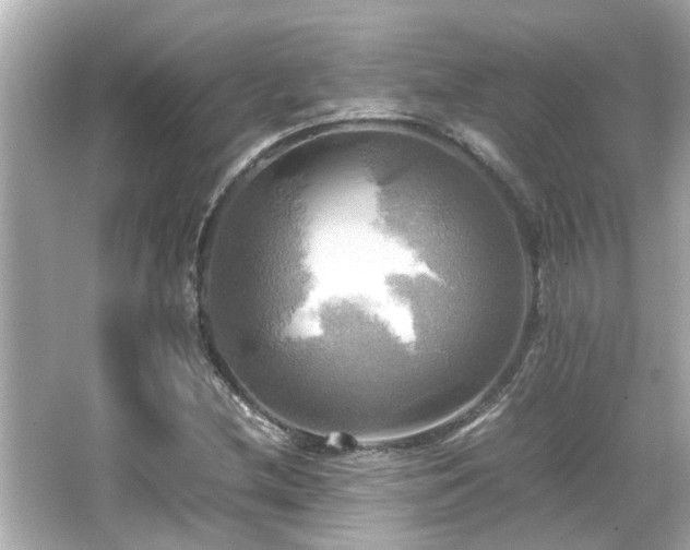 X0000066521212200603171209