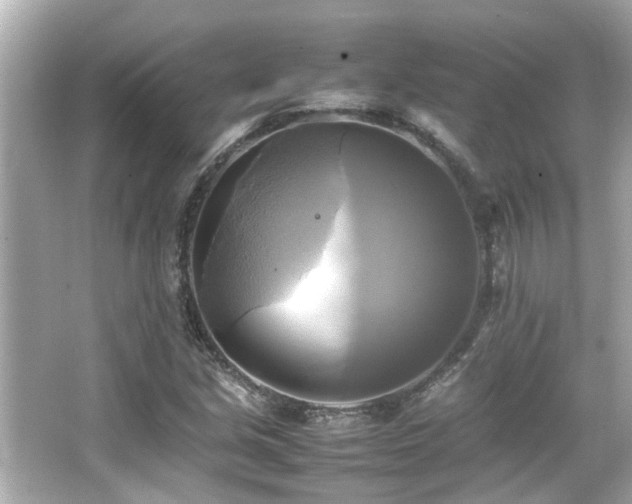 X0000066521213200603171209