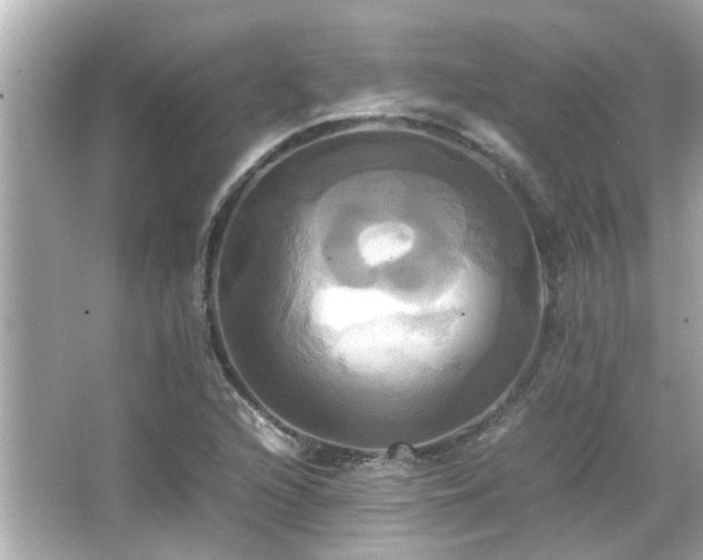 X0000066521216200603171209