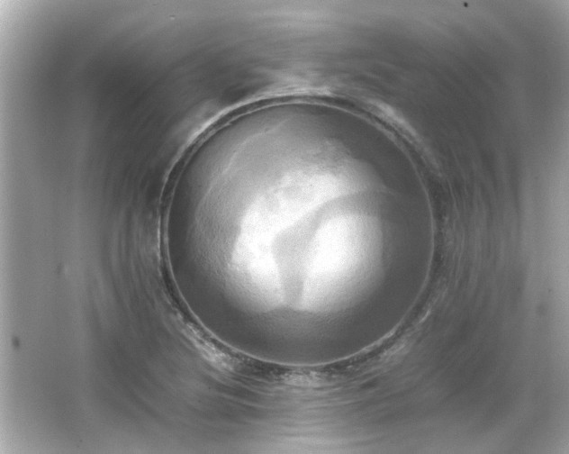 X0000066521220200603171209