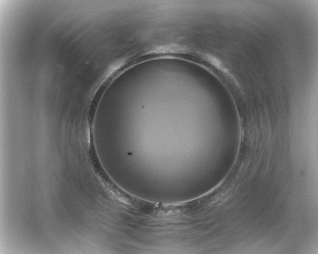 X0000066521221200603171209