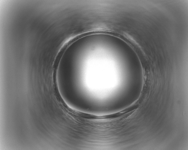 X0000066521222200603171209