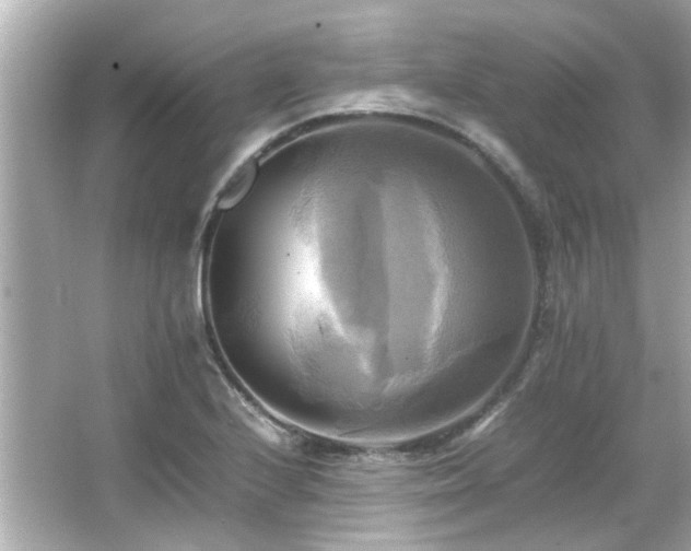 X0000066521224200603171209