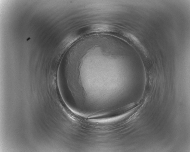 X0000066521225200603171209