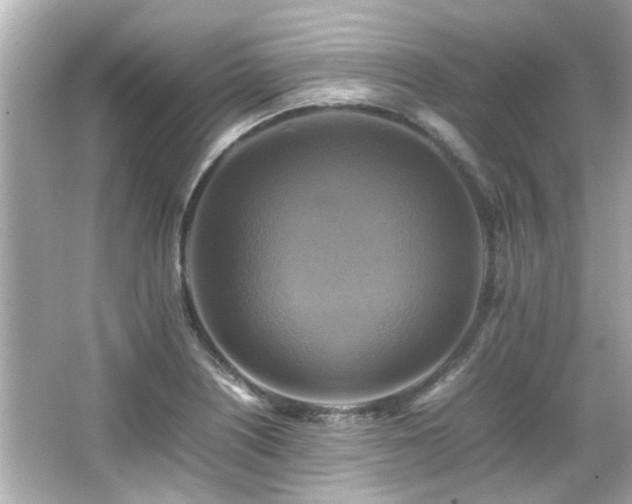 X0000066521226200603171209