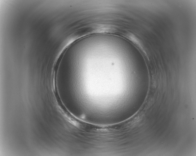 X0000066521227200603171209