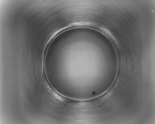 X0000066521228200603171209