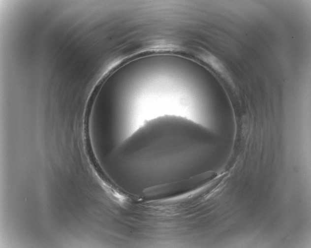 X0000066521229200603171209