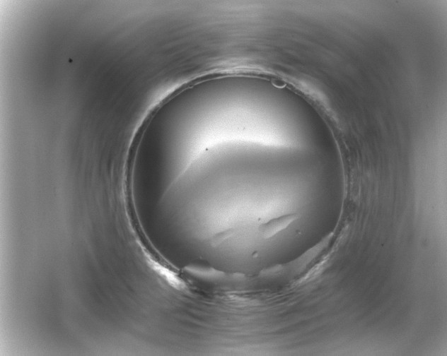 X0000066521231200603171209