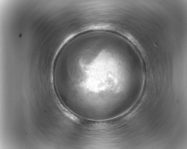 X0000066521232200603171209