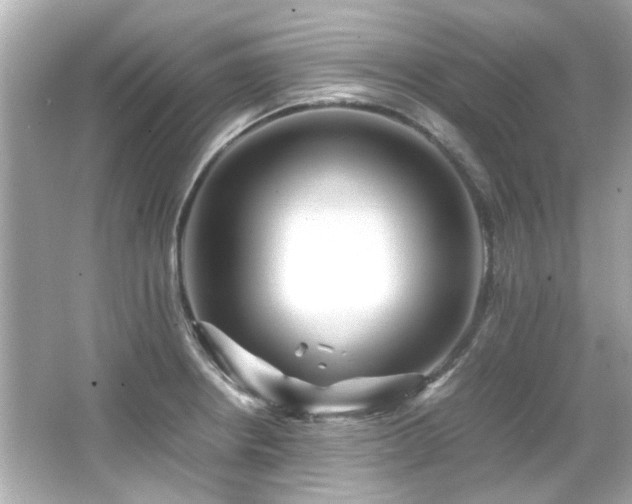 X0000066521234200603171210