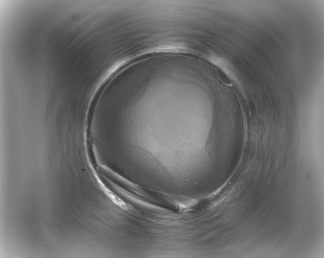 X0000066521237200603171210