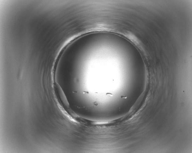 X0000066521238200603171210