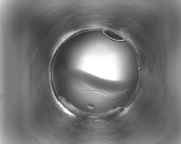 X0000066521239200603171210