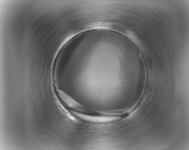 X0000066521240200603171210