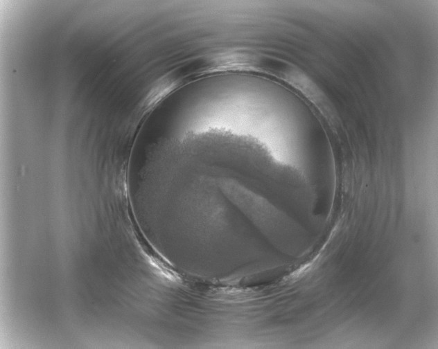 X0000066521241200603171210