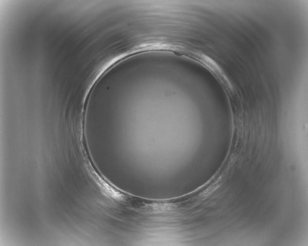 X0000066521244200603171210