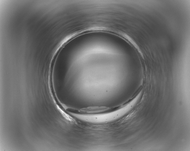 X0000066521245200603171210