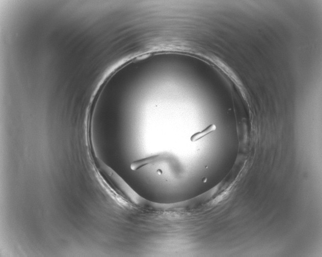 X0000066521246200603171210