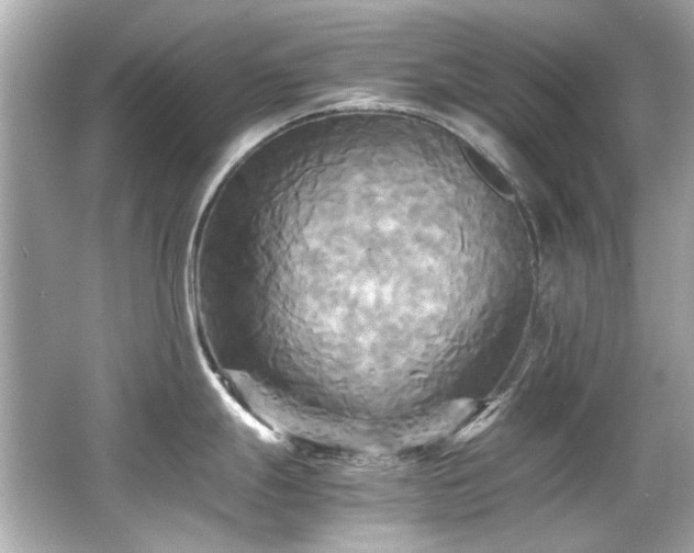 X0000066521247200603171210