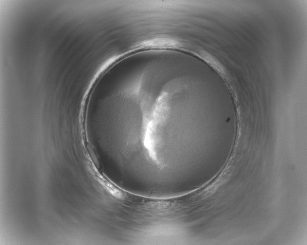 X0000066521248200603171210