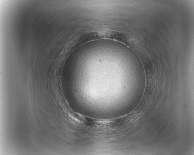 X0000066521249200603171209