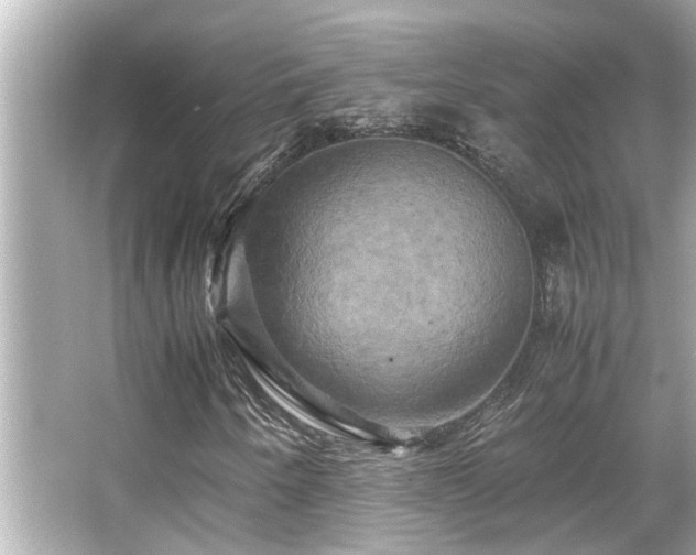 X0000066521250200603171209