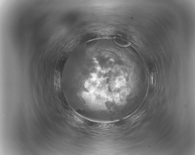 X0000066521251200603171209