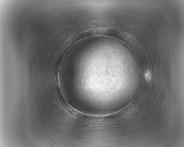 X0000066521252200603171209