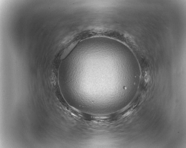 X0000066521253200603171209