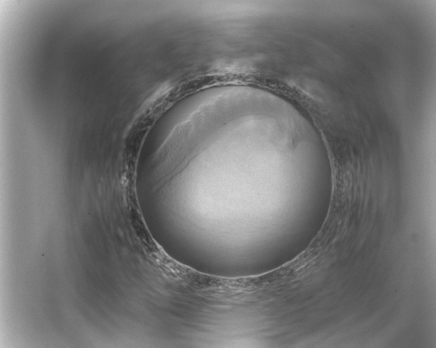 X0000066521254200603171209